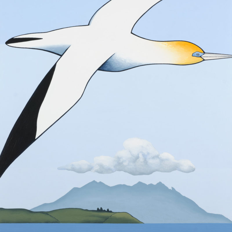 Don Binney Preview Image