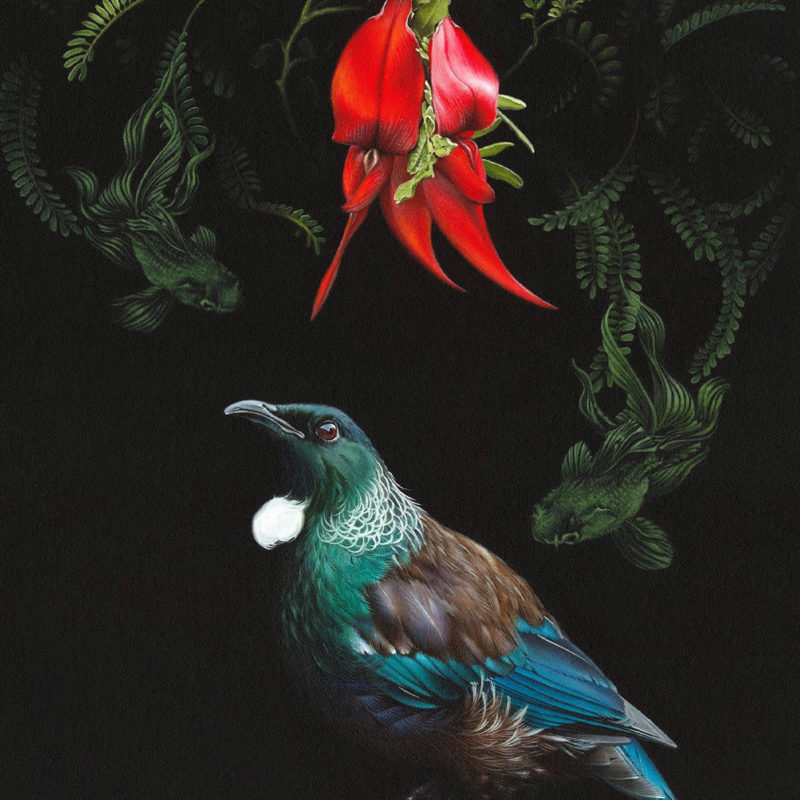 Jane Crisp Preview Image