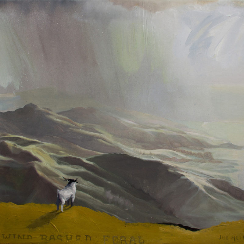 Joe Helmore Preview Image