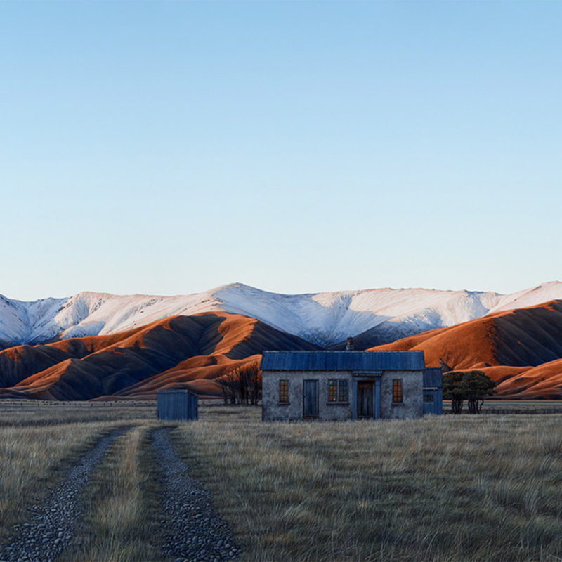 Michelle Bellamy Preview Image