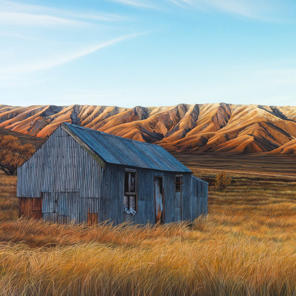 Parnell Gallery Auckland Artwork for sale Farmstead Hawkun Range Central Otago