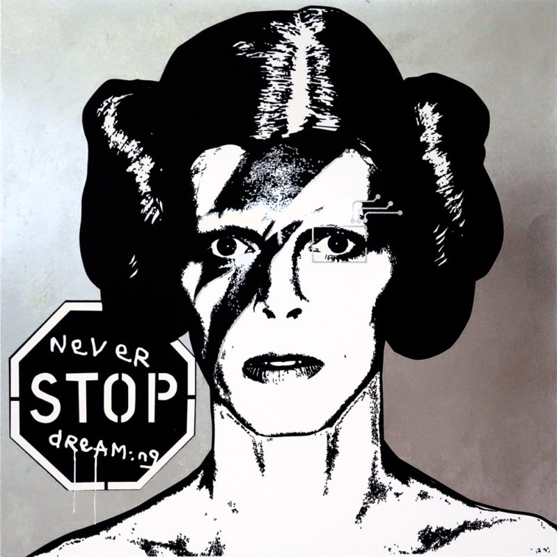 Brad Novak Preview Image