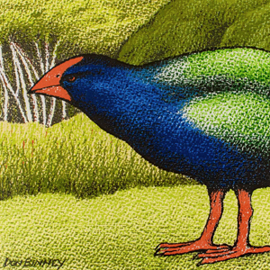 Parnell Gallery Auckland Artwork for sale Motutapu Takahe Release III by Don Binney