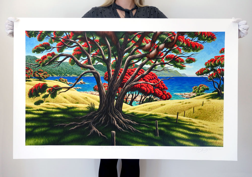 Tony Ogle, Limited Edition - Old Man Pohutukawa - Lottin Point - Giclee Print, Parnell Gallery Auckland NZ