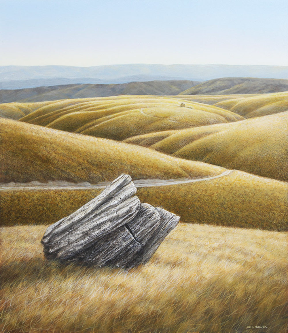 Neil Driver Schist Rock and Hills original acrylic on board painting at Parnell Gallery Auckland NZ