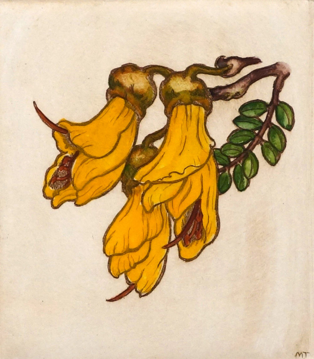 Kowhai by Mary Taylor Parnell Gallery