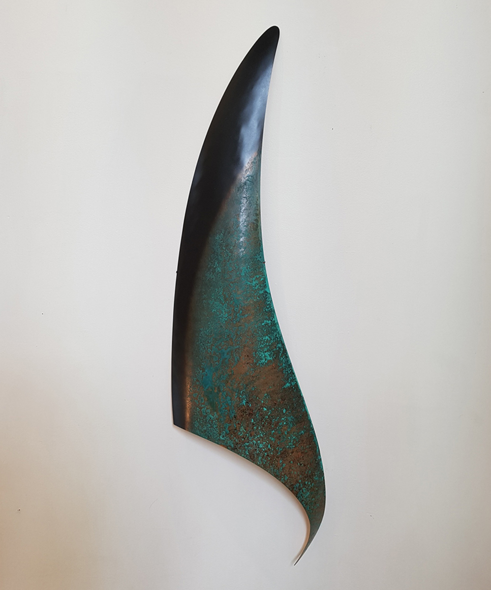 Orca Fin