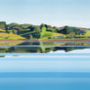 Caroline Bellamy, Evening Calm, Whananaki Bay original New Zealand landscape painting at Parnell Gallery Auckland NZ