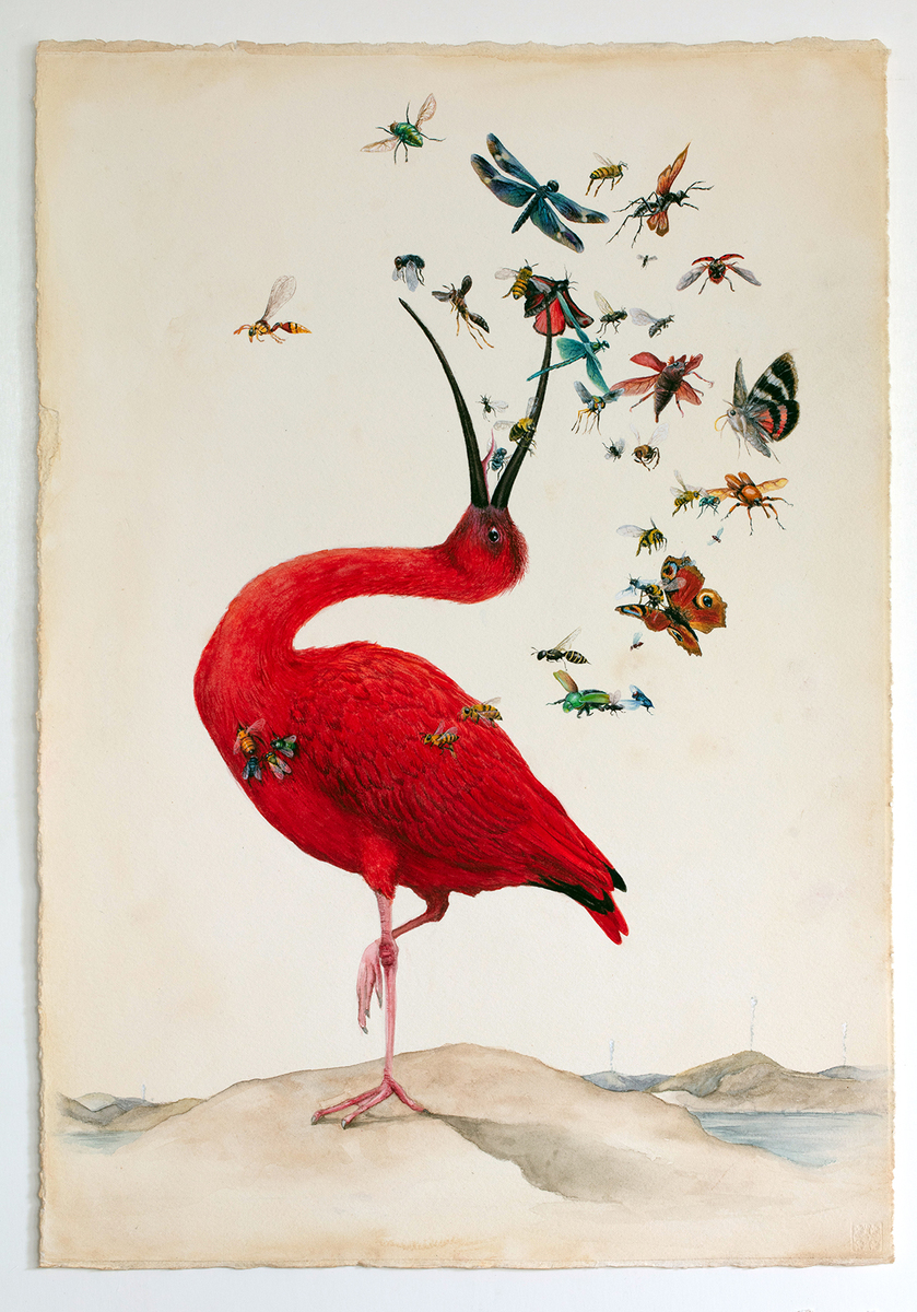 Lucy Eglington On Stranger Shores limited edition print at Parnell Gallery Auckland NZ