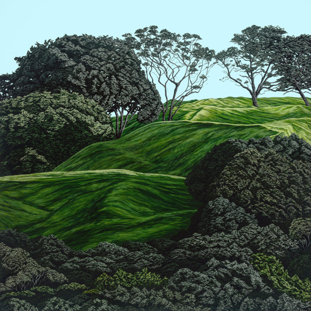 Sara Langdon Where you Dwell: Mt Eden Parnell Gallery Auckland NZ