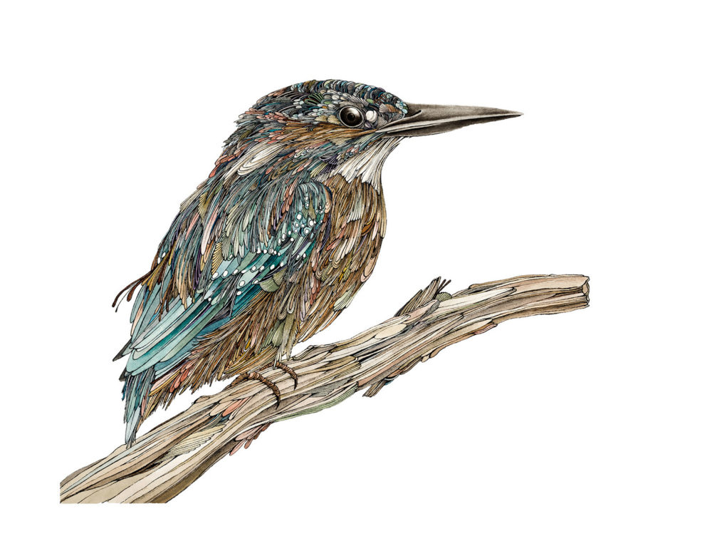 Houseki (Kingfisher)