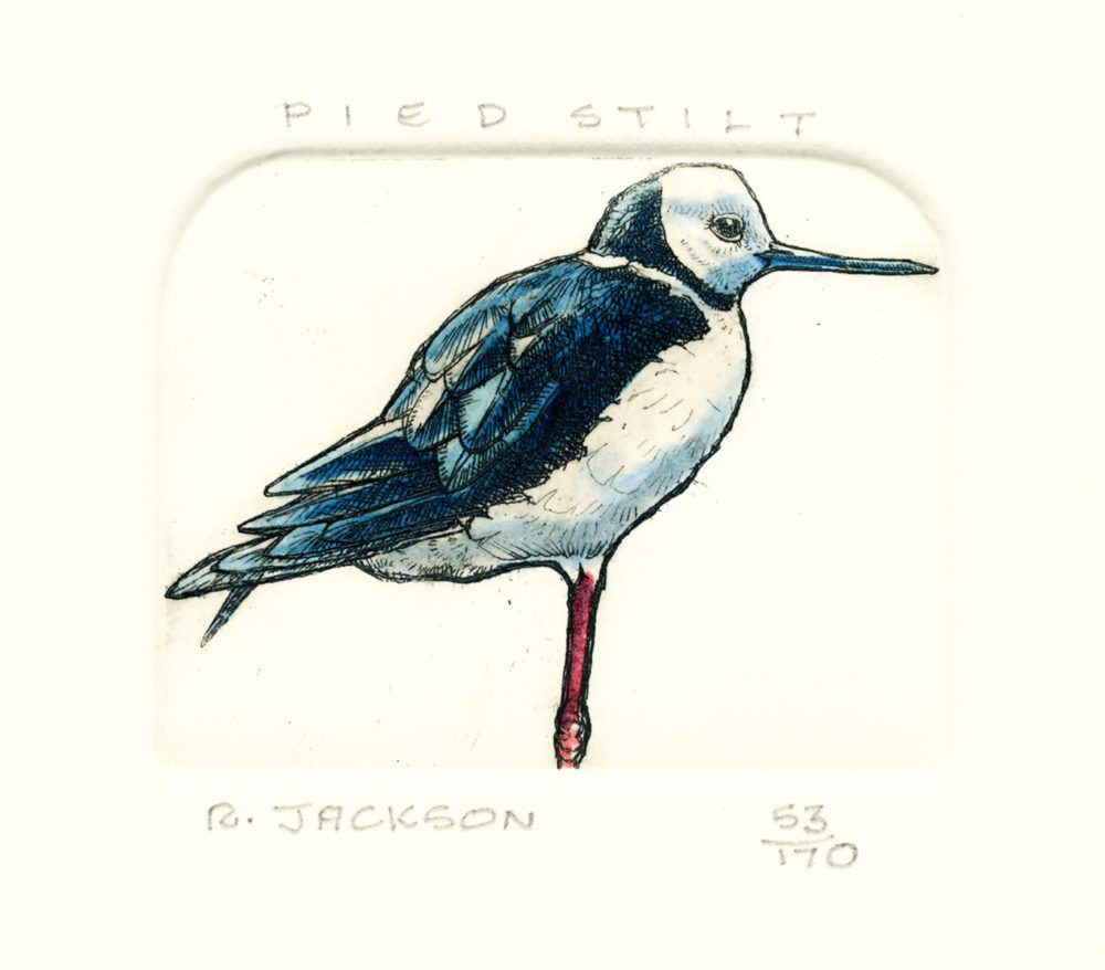 Russell Jackson Pied Stilt Parnell Gallery Auckland NZ