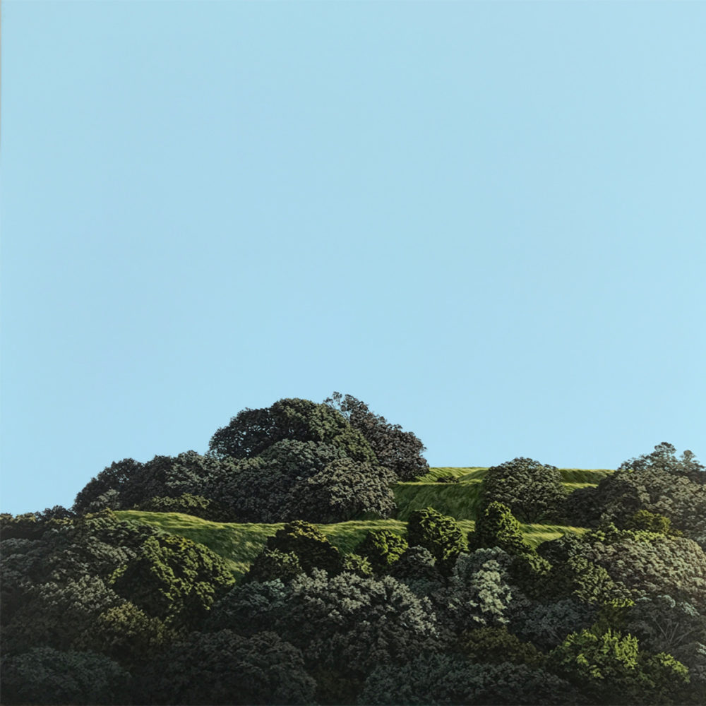 Sara Langdon A Quiet Waiting (Mt Eden) Parnell Gallery Auckland NZ