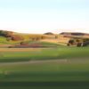 Caroline Bellamy, Evening Light on the Trees, Whananaki original New Zealand landscape painting at Parnell Gallery Auckland NZ