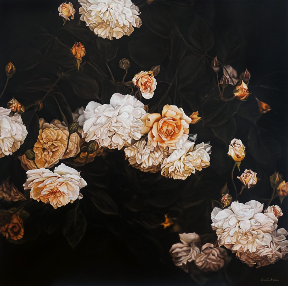 Rochelle Andrews Peach Roses Parnell Gallery Auckland NZ