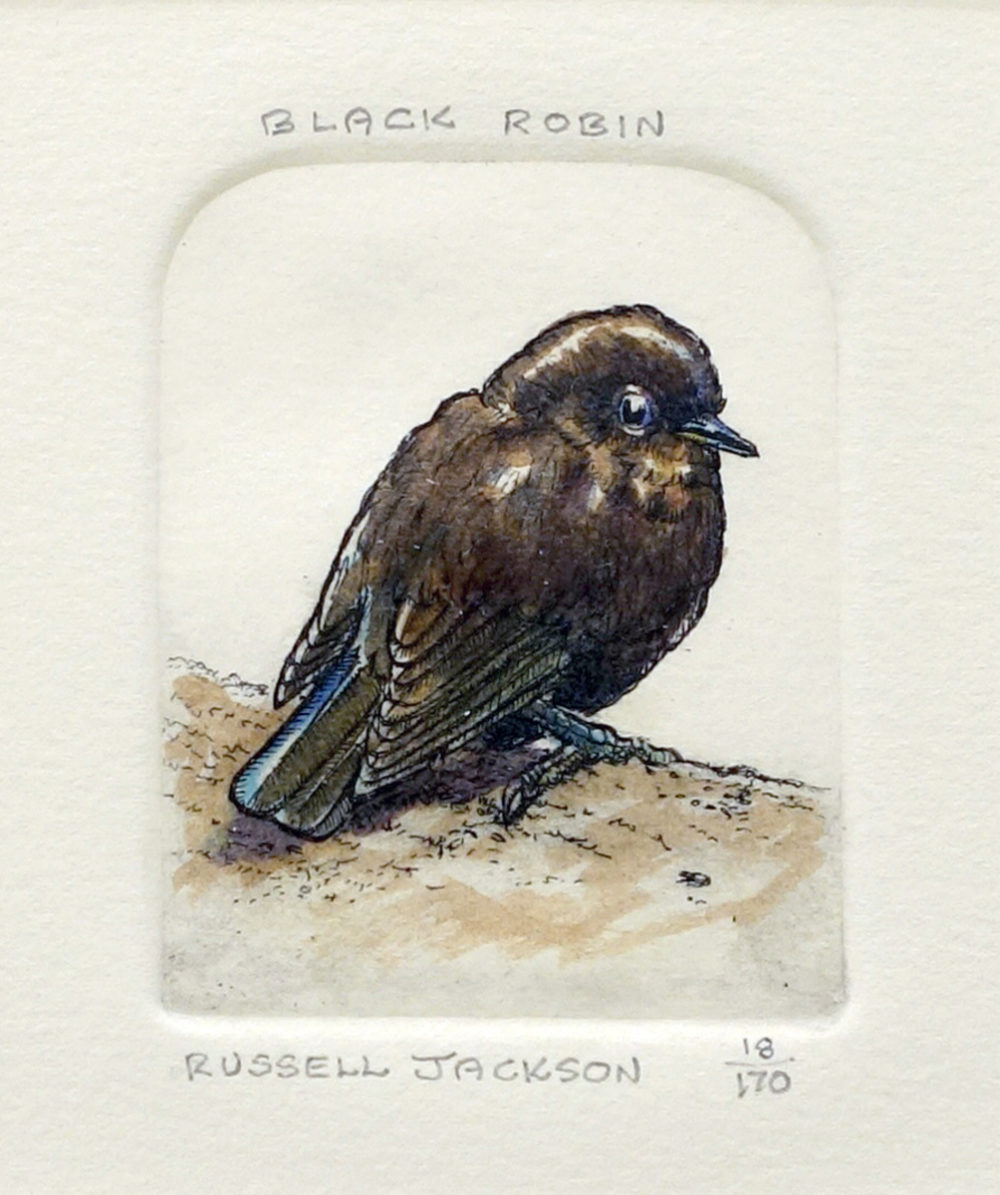Russell Jackson Black Robin Parnell Gallery Auckland NZ