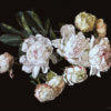 i heart peonies