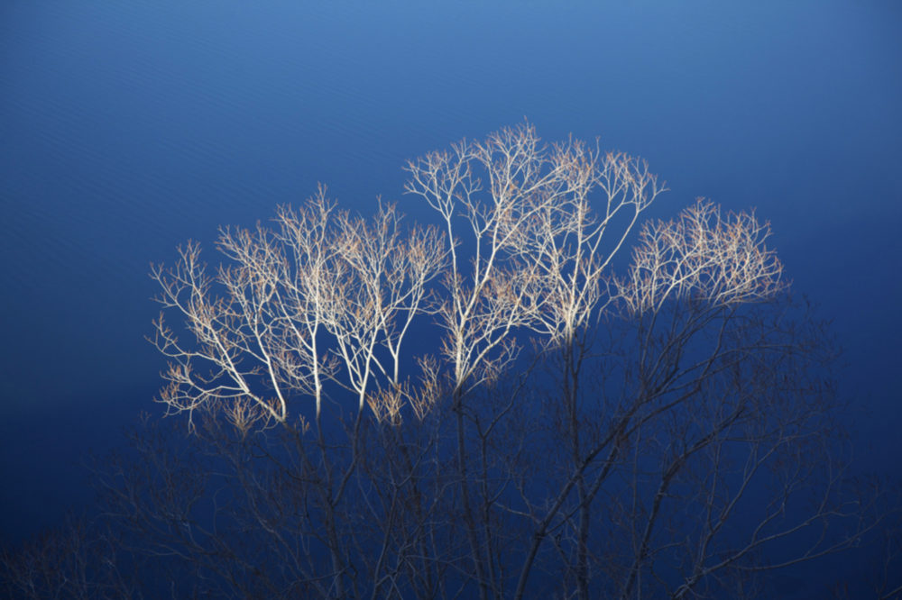 Blue Lake