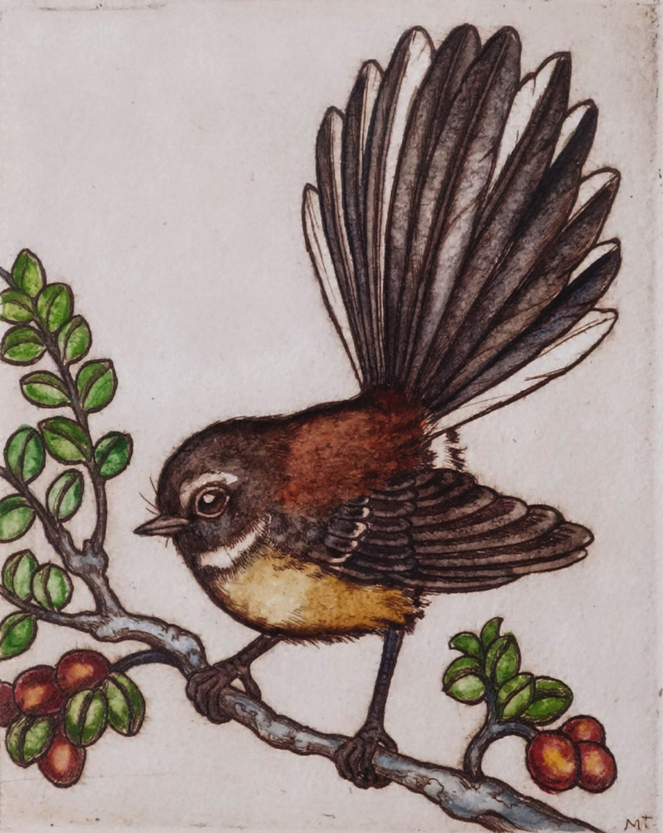 Mary Taylor Fantail / Piwakawaka hand coloured etching NZ bird limited edition print at Parnell Gallery Auckland NZ