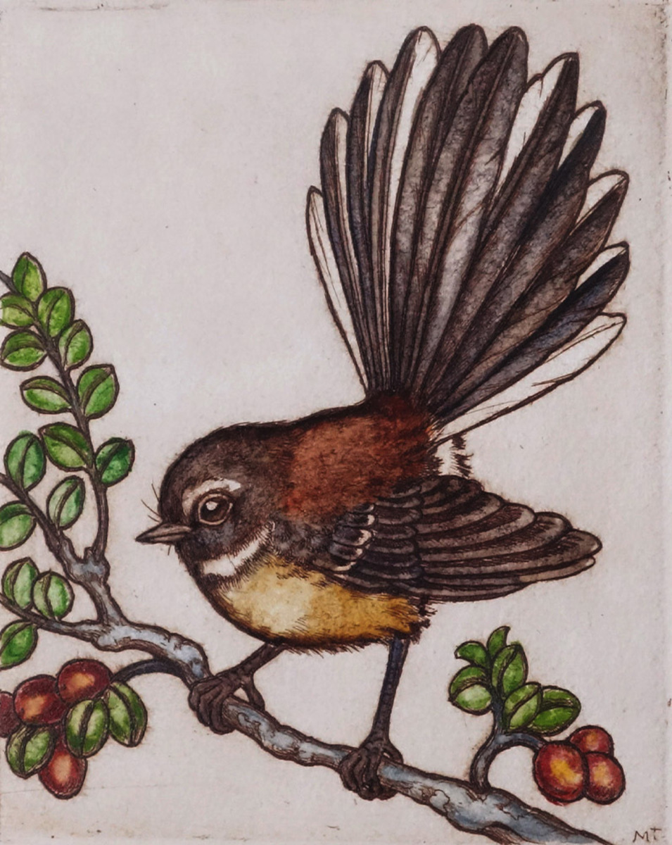 Fantail / Piwakawaka