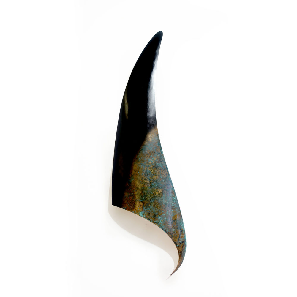 Orca Fin