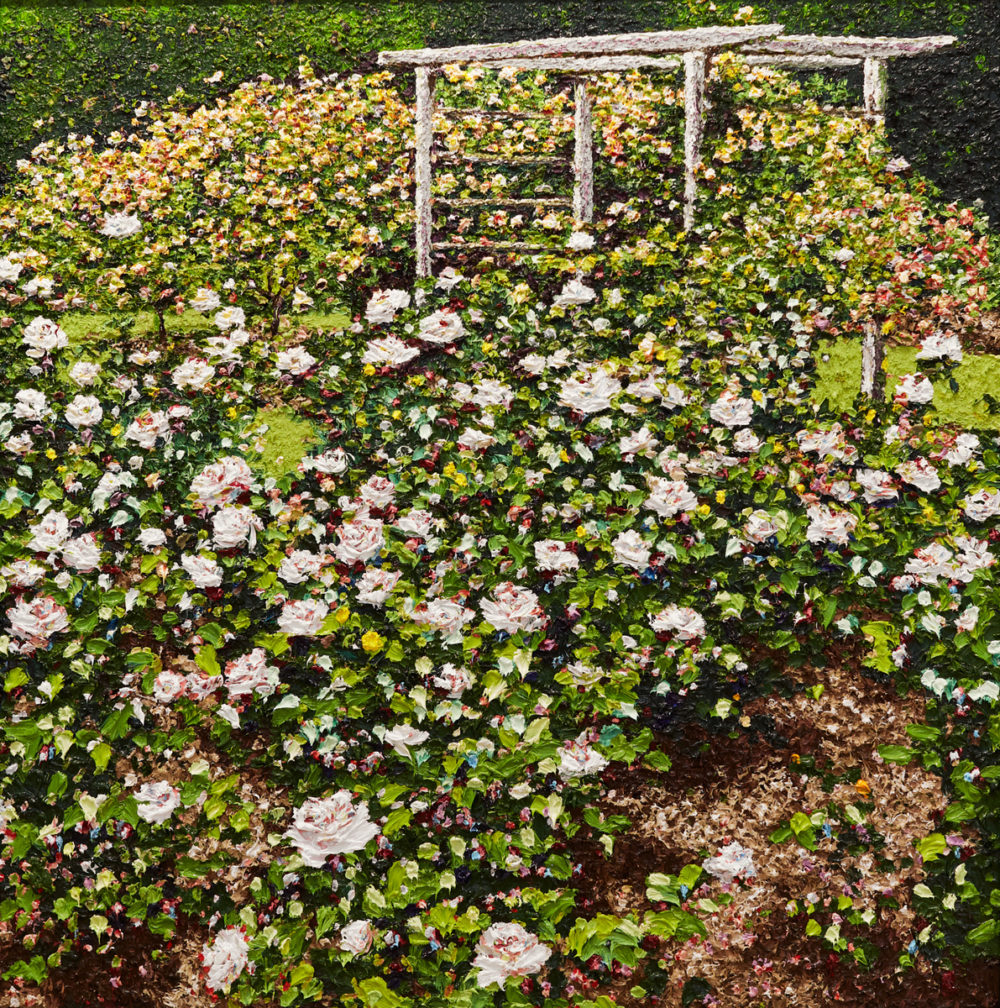 Auckland Rose Gardens