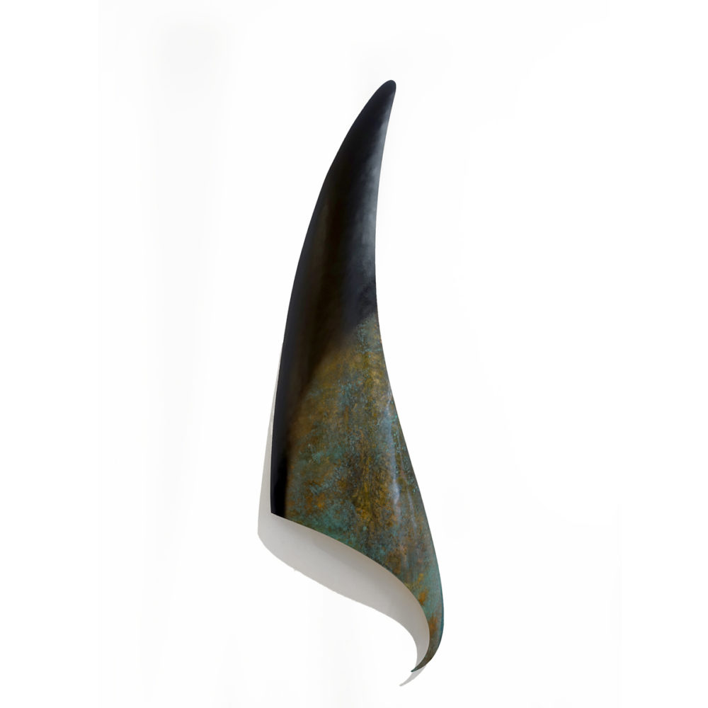 Orca Fin