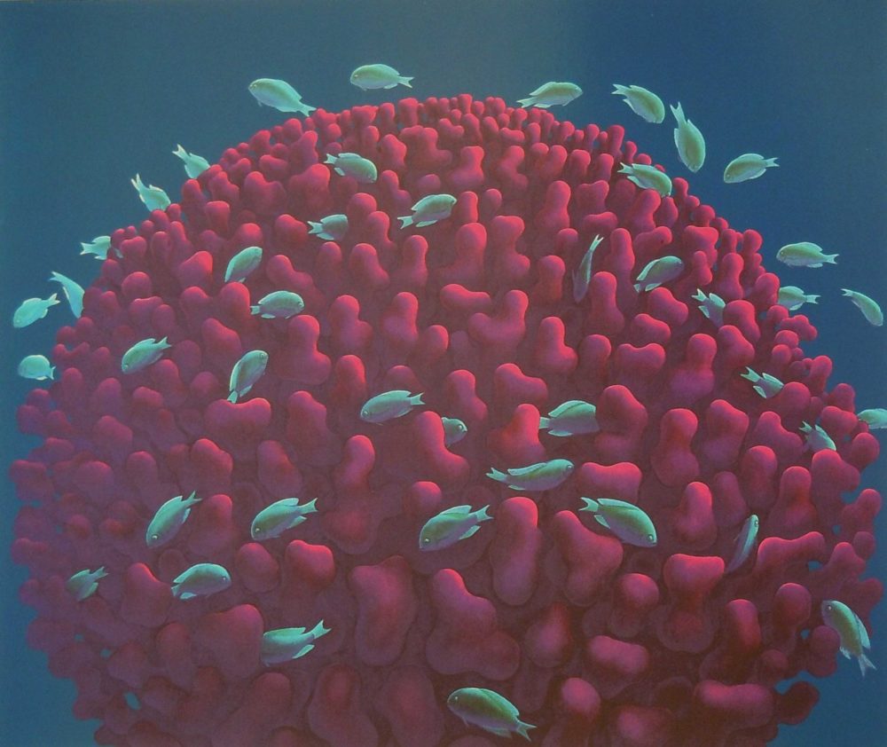 Coral Head with Fish