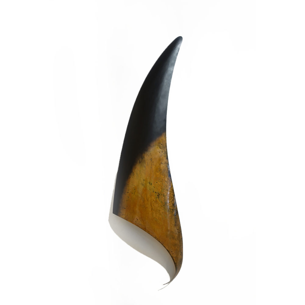 Orca Fin