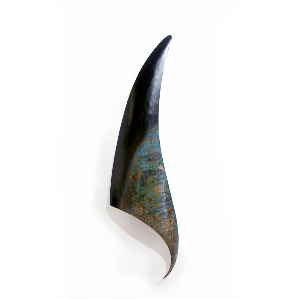 Orca Fin