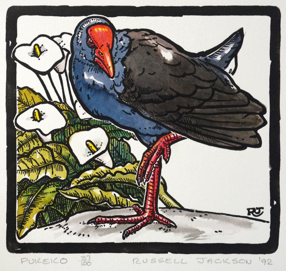 Pukeko