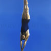 Diver