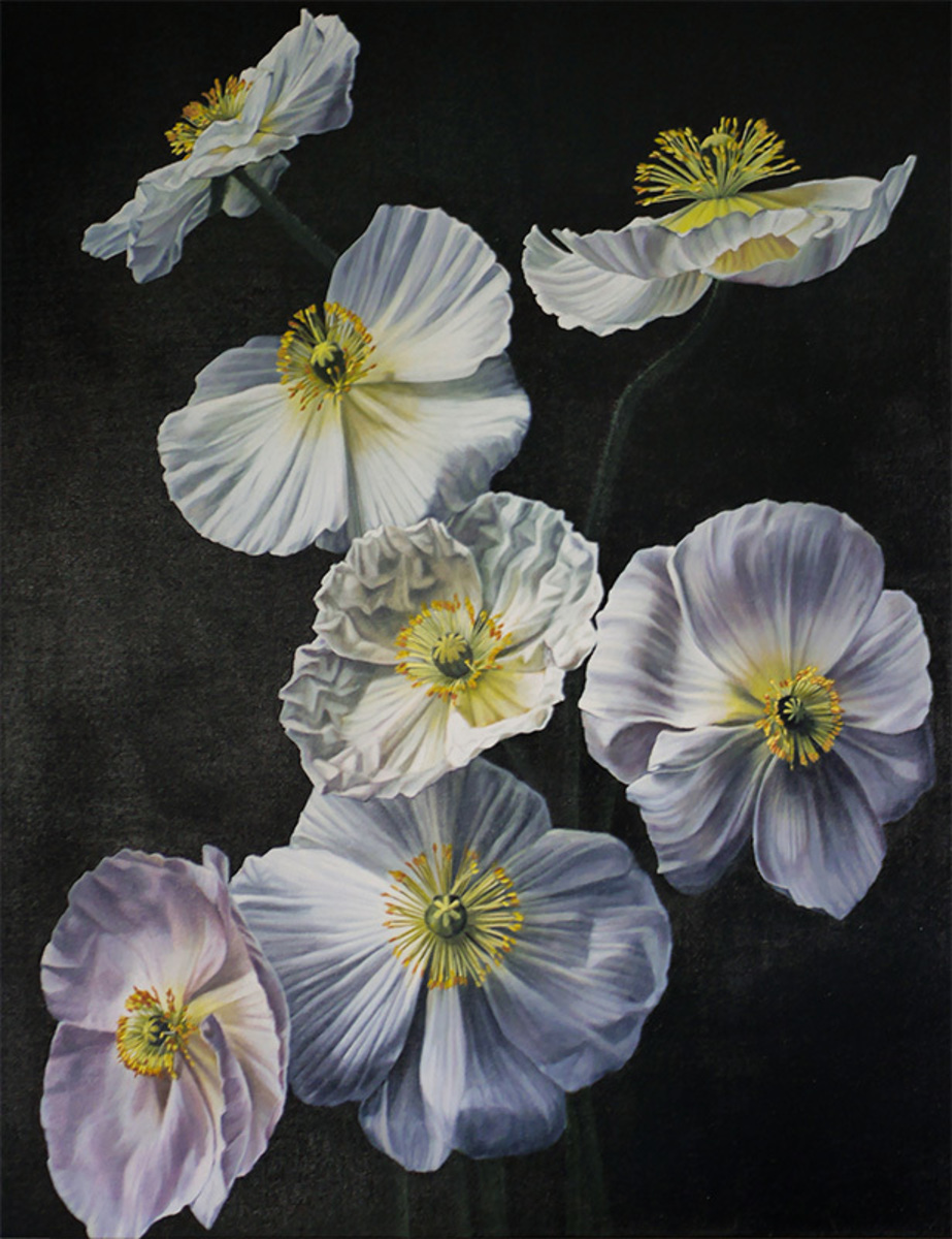 Julie Battisti, Last Light original floral painting at Parnell Gallery Auckland NZ