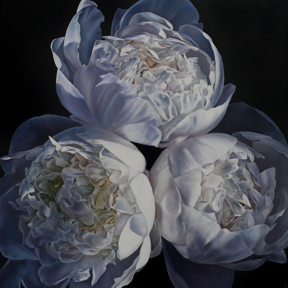 Julie Battisti, Where the light gets in original floral painting at Parnell Gallery Auckland NZ
