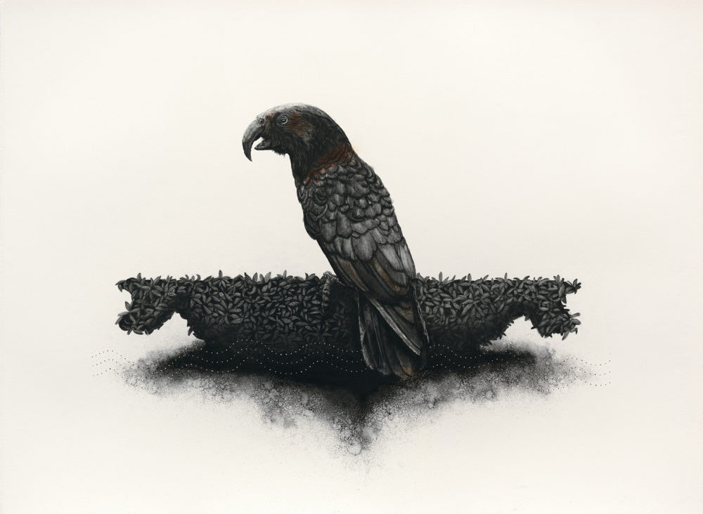 Gareth Barlow The Kaka Crossroad limited edition fine art print at Parnell Gallery Auckland NZ