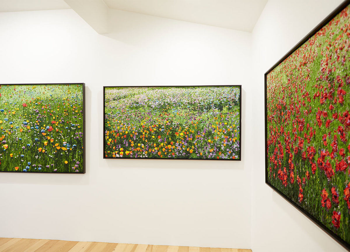 Peter Hackett solo exhibition at Parnell Gallery Auckland NZ