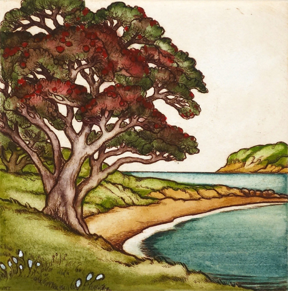 Mary Taylor Summer Miniature hand coloured NZ landscape etching limited edition print at Parnell Gallery Auckland NZ