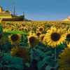 Ross Jones 'Grand Voyage' limited edition print at Parnell Gallery Auckland NZ