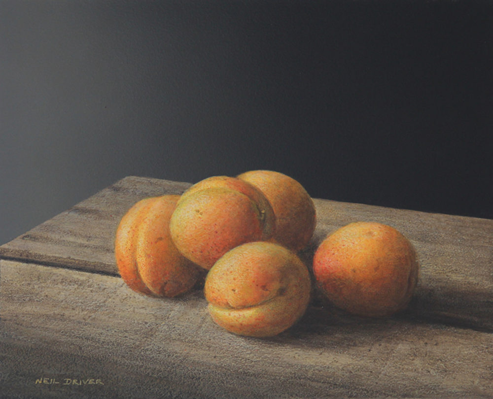 Neil Driver Apricots original acrylic on board painting at Parnell Gallery Auckland NZ