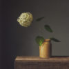 Neil Driver Hydrangea original acrylic on board painting at Parnell Gallery Auckland NZ