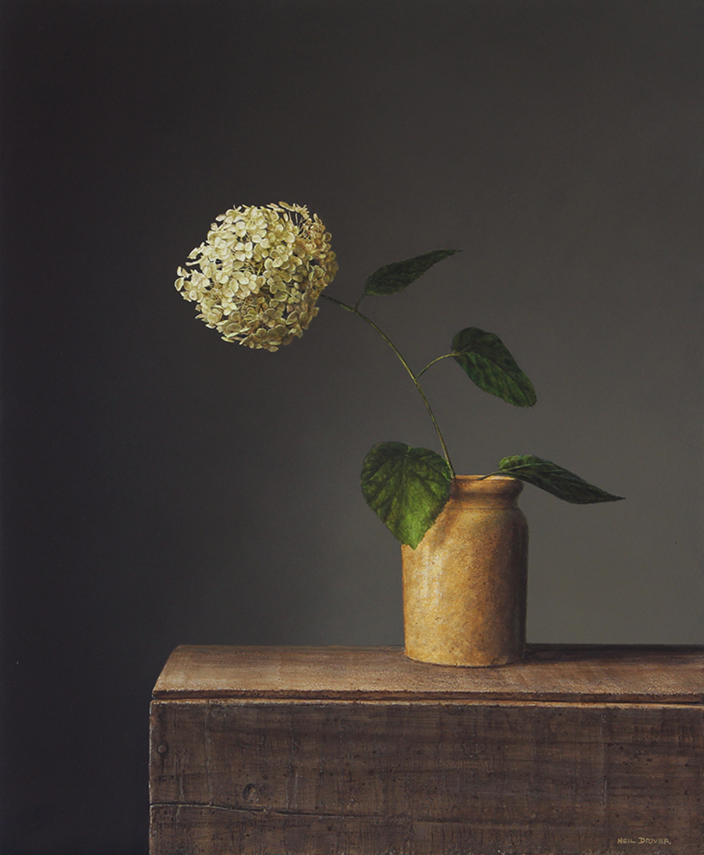 Neil Driver Hydrangea original acrylic on board painting at Parnell Gallery Auckland NZ