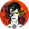Starman 1.5 (FOWY) - L