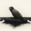 Gareth Barlow The Kea Crossroad original painting at Parnell Gallery Auckland NZ