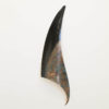 Orca Fin