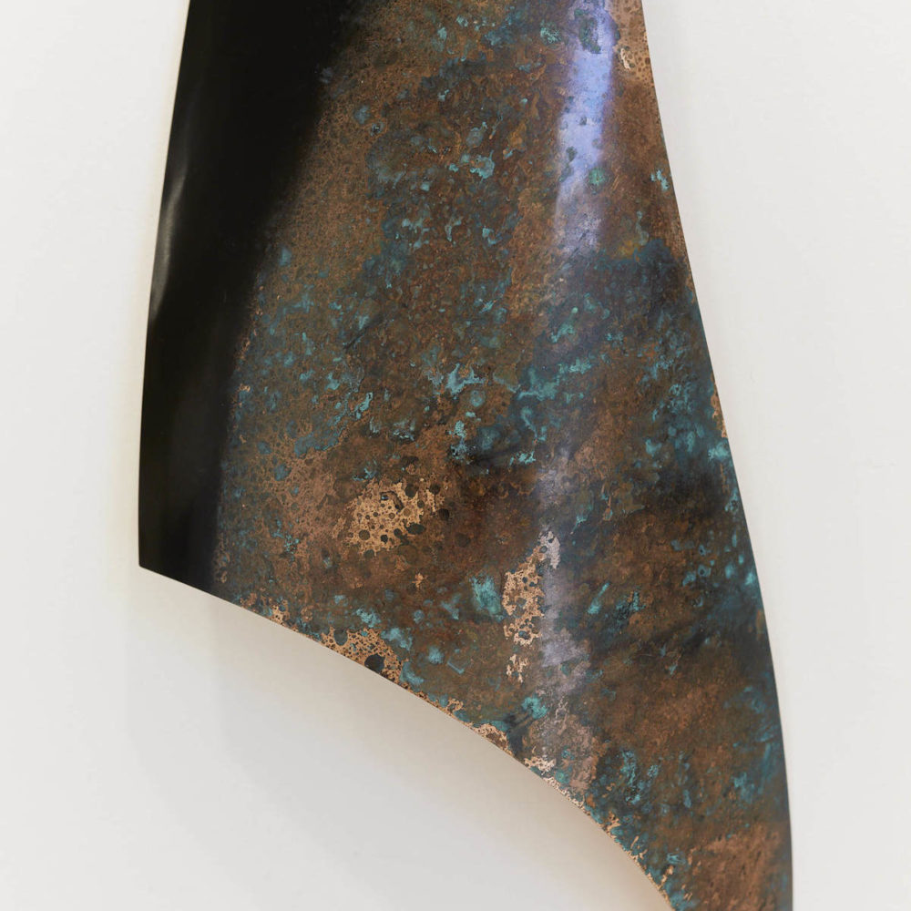 Orca Fin