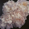Julie Battisti, Strawberry Fields original floral painting at Parnell Gallery Auckland NZ