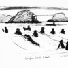 Surfers Back Beach