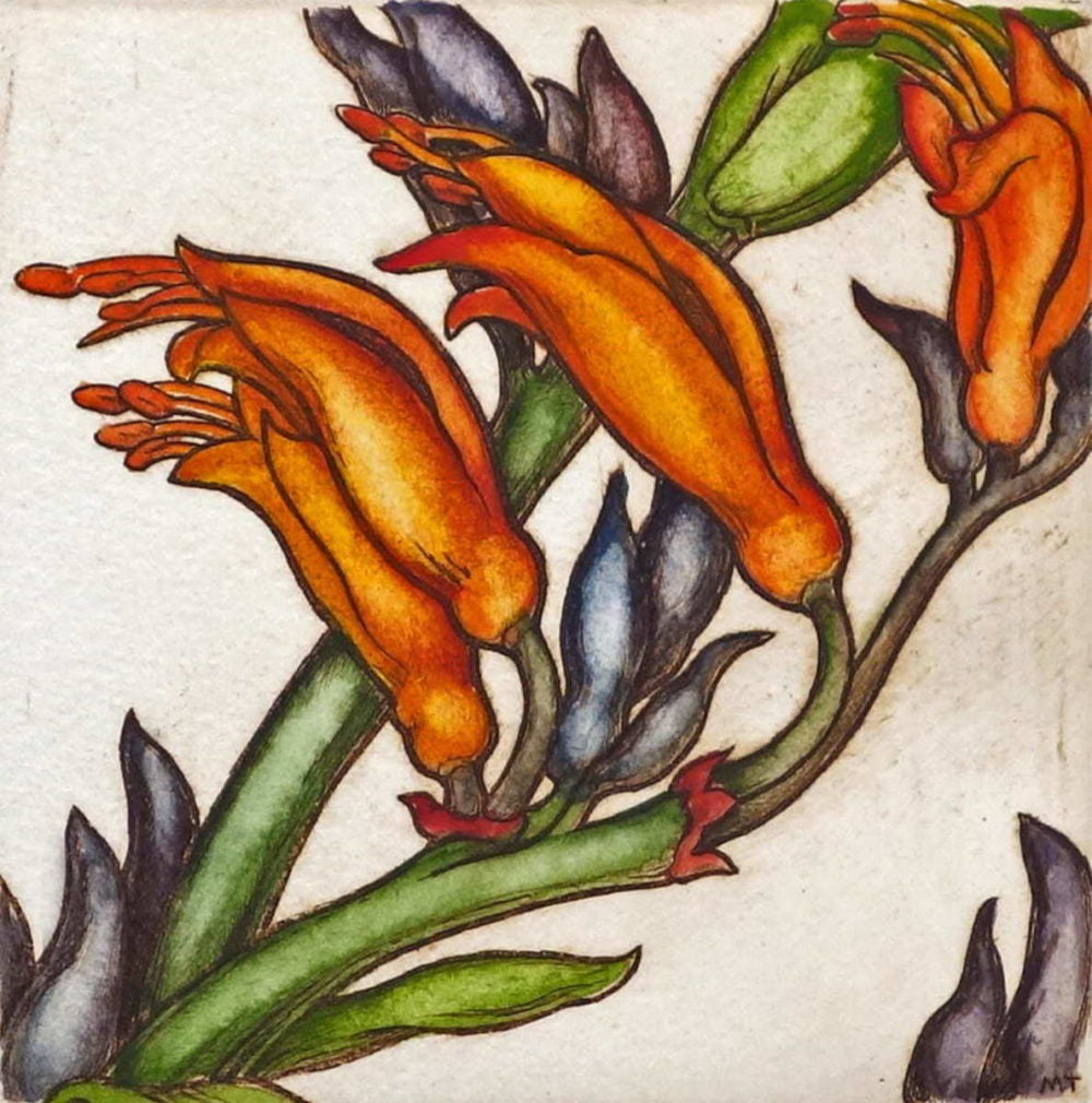 Mary Taylor Flax Flowers hand coloured etching NZ flower limited edition print at Parnell Gallery Auckland NZ