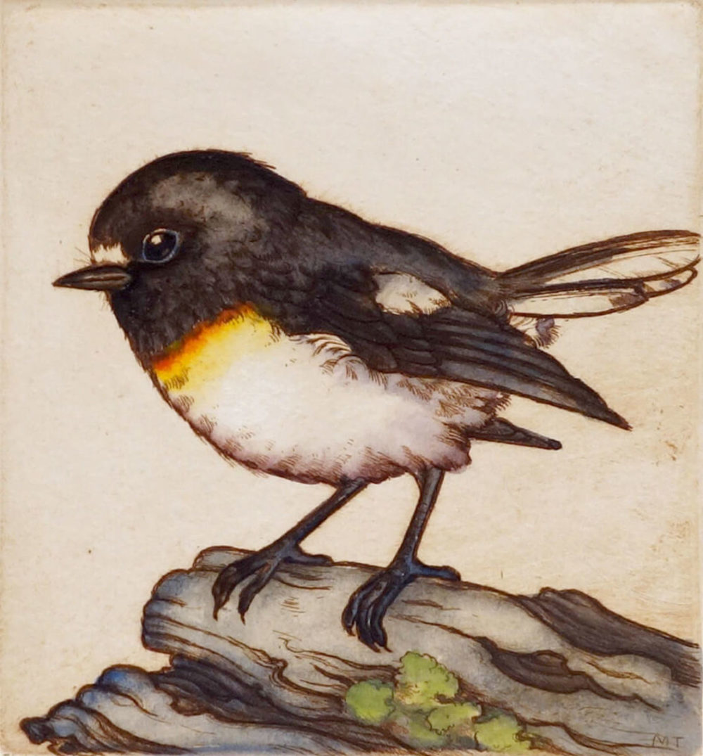 Mary Taylor Tomtit II hand coloured etching NZ bird limited edition print at Parnell Gallery Auckland NZ