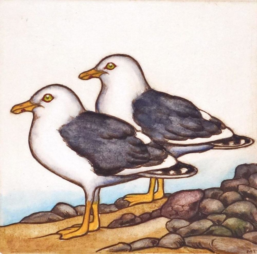 Mary Taylor Black Backed Gulls hand coloured etching NZ bird limited edition print at Parnell Gallery Auckland NZ